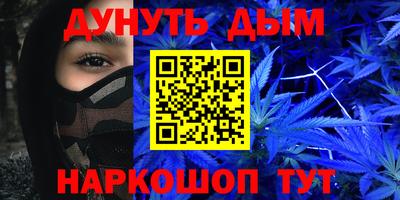 гидра Славгород