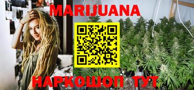 гидра Славгород