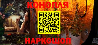 гидра Славгород